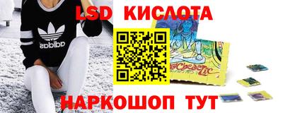 дживик Кингисепп