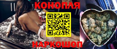 дживик Кингисепп