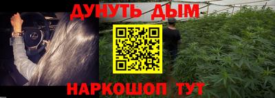 дживик Кингисепп