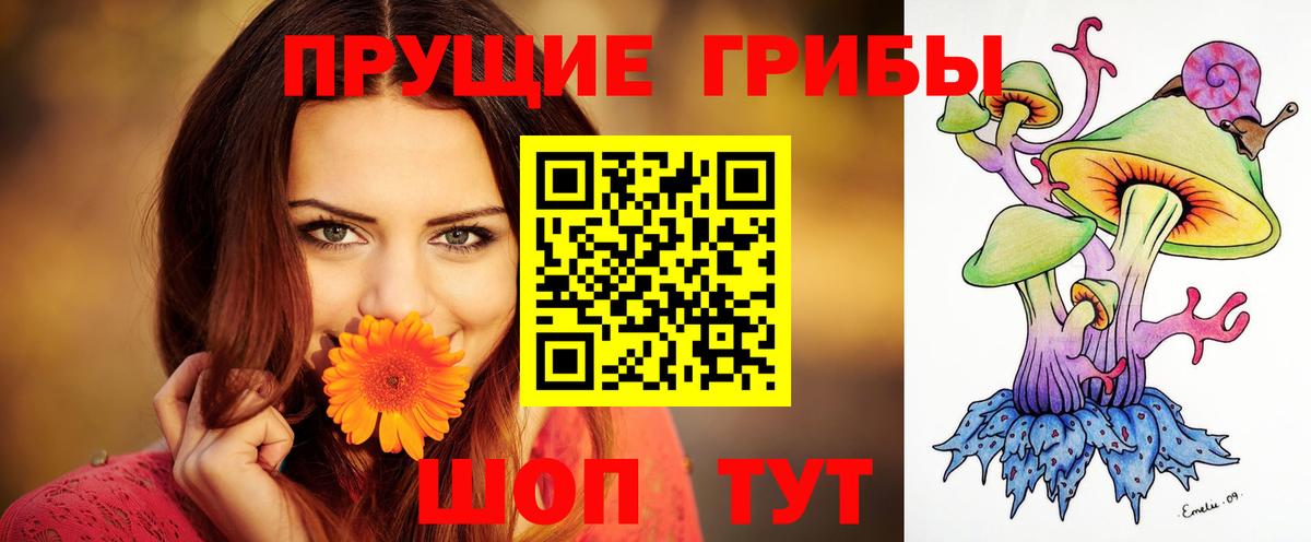 Красный Сулин  Псилоцибиновые грибы мицелий  сколько стоит  Вход с VPN 